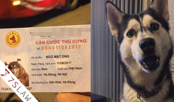 thay đổi quốc huy của nước Cộng hòa xã hội chủ nghĩa Việt Nam