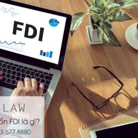 FDI là gì? Vốn FDI là gì? Đặc Điểm Của Doanh Nghiệp FDI