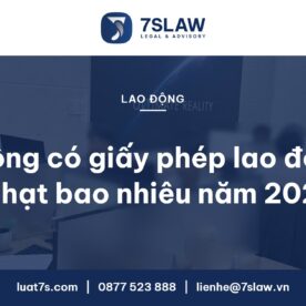Không có giấy phép lao động bị phạt bao nhiêu năm 2026 - Luật 7S