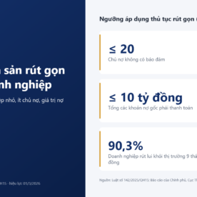 Ngưỡng áp dụng thủ tục phá sản rút gọn đối với doanh nghiệp